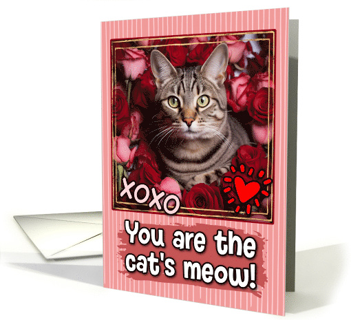 Tabby Cat and Roses Cat's Meow Valentine's Day card (1809482)