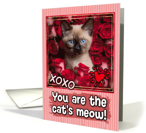 Siamese Kitten and Roses Cat's Meow Valentine's Day card (1809496)