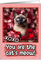 Siamese Cat and Roses Cat’s Meow Valentine’s Day card