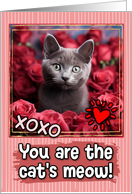 Russian Blue Kitten and Roses Cat’s Meow Valentine’s Day card