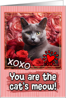 Russian Blue Cat and Roses Cat’s Meow Valentine’s Day card