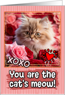 Persian Kitten and Roses Cat’s Meow Valentine’s Day card
