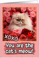 Persian Cat and Roses Cat’s Meow Valentine’s Day card
