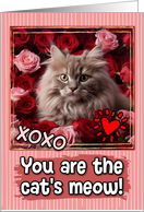 Oriental Longhair Kitten and Roses Cat’s Meow Valentine’s Day card