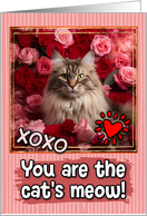 Oriental Longhair Cat and Roses Cat’s Meow Valentine’s Day card