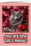 Nebelung Cat and Roses Cat’s Meow Valentine’s Day card