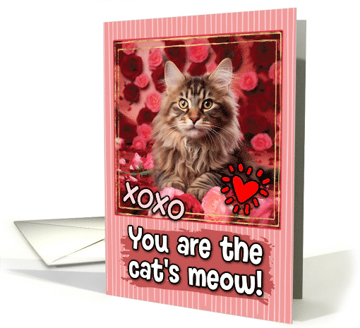Maine Coon Kitten and Roses Cat's Meow Valentine's Day card (1809580)