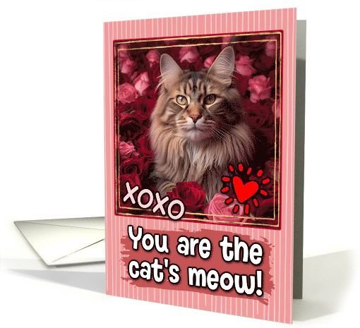 Maine Coon Cat and Roses Cat's Meow Valentine's Day card (1809582)