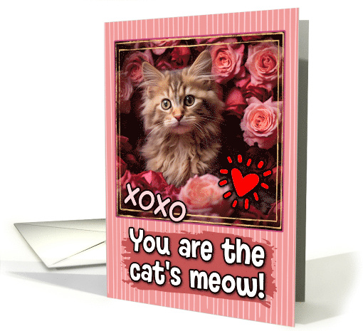 La Perm Kitten and Roses Cat's Meow Valentine's Day card (1809584)
