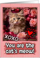 La Perm Kitten and Roses Cat’s Meow Valentine’s Day card