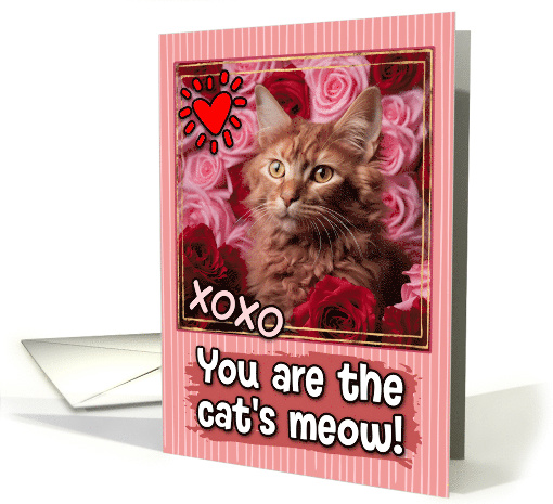 La Perm Cat and Roses Cat's Meow Valentine's Day card (1809586)
