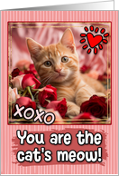 Ginger Kitten and Roses Cat’s Meow Valentine’s Day card