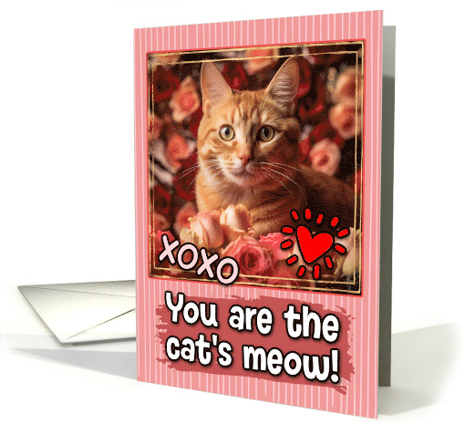 Ginger Cat and Roses Cat's Meow Valentine's Day card (1809596)