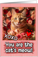 Ginger Cat and Roses Cat’s Meow Valentine’s Day card