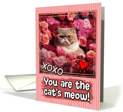 Exotic Shorthair Cat and Roses Cat's Meow Valentine's Day card