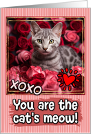 Egyptian Mau Kitten and Roses Cat’s Meow Valentine’s Day card