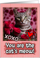 Egyptian Mau Cat and Roses Cat’s Meow Valentine’s Day card