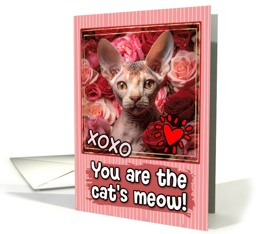 Devon Rex cat and Roses Cat's Meow Valentine's Day card (1809636)
