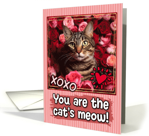 California Spangled Cat and Roses Cat's Meow Valentine's Day card