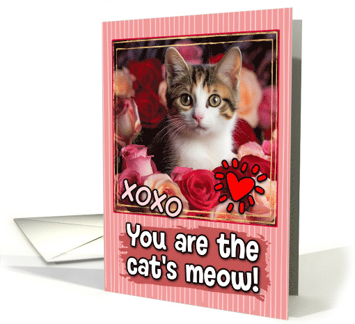 Calico Kitten and Roses Cat's Meow Valentine's Day card (1809644)