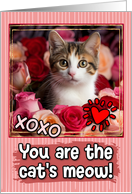 Calico Kitten and Roses Cat’s Meow Valentine’s Day card