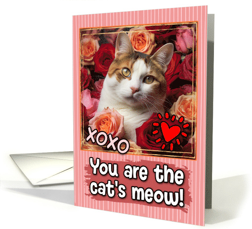 Calico Cat and Roses Cat's Meow Valentine's Day card (1809646)
