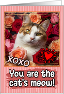 Calico Cat and Roses Cat’s Meow Valentine’s Day card