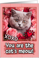 British Shorthair Kitten and Roses Cat’s Meow Valentine’s Day card