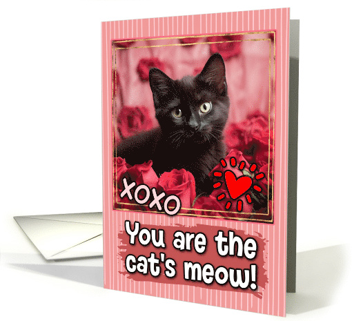 Black Kitten and Roses Cat's Meow Valentine's Day card (1809656)