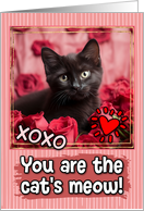 Black Kitten and Roses Cat’s Meow Valentine’s Day card