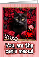 Black Cat and Roses Cat’s Meow Valentine’s Day card