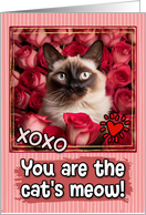 Balinese Cat and Roses Cat’s Meow Valentine’s Day card