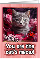 American Shorthair Kitten and Roses Cat’s Meow Valentine’s Day card