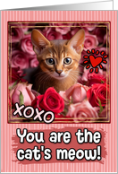 Abyssinian Kitten and Roses Cat’s Meow Valentine’s Day card