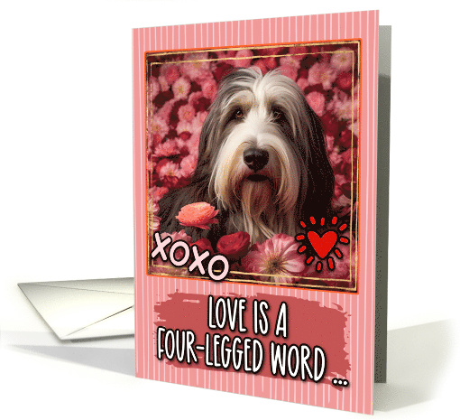 Bearded Collie and Roses Valentine's Day card (1811522)