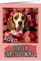 Beagle and Roses...