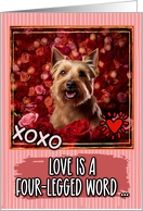 Australian Terrier and Roses Valentine’s Day card