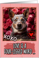 Australian Cattle Dog and Roses Valentine’s Day card