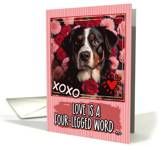 Appenzeller Sennenhund and Roses Valentine's Day card (1811552)