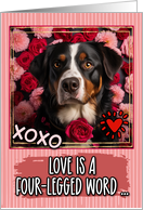 Appenzeller Sennenhund and Roses Valentine’s Day card