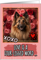 Belgian Tervuren and Roses Valentine’s Day card