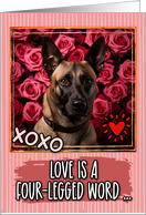 Belgian Malinois and Roses Valentine’s Day card