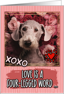 Bedlington Terrier and Roses Valentine’s Day card