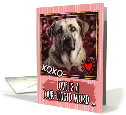 Anatolian Shepherd and Roses Valentine's Day card (1811624)