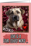 Anatolian Shepherd and Roses Valentine’s Day card