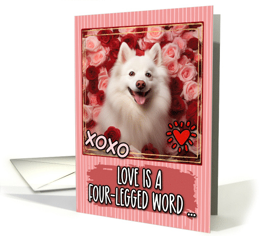 American Eskimo Dog and Roses Valentine's Day card (1811628)