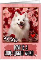 American Eskimo Dog and Roses Valentine’s Day card