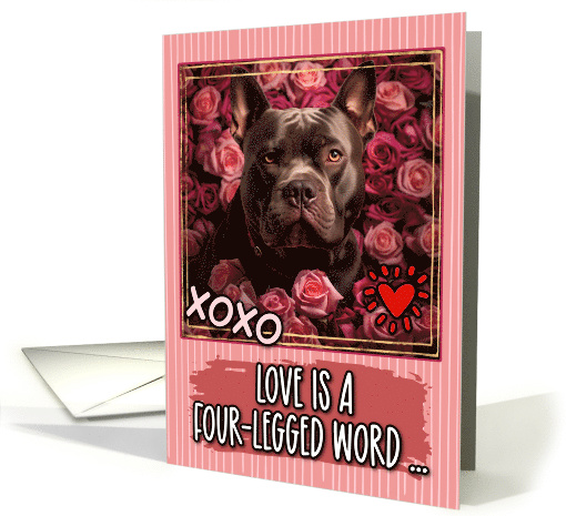 American Bully and Roses Valentine's Day card (1811638)