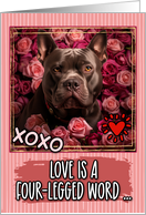 American Bully and Roses Valentine’s Day card