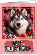 Alaskan Malamute and Roses Valentine’s Day card